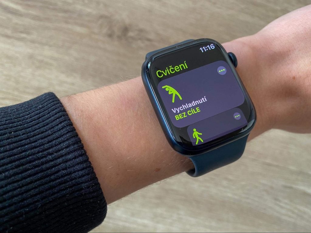 Zakres aktywności jest szeroki