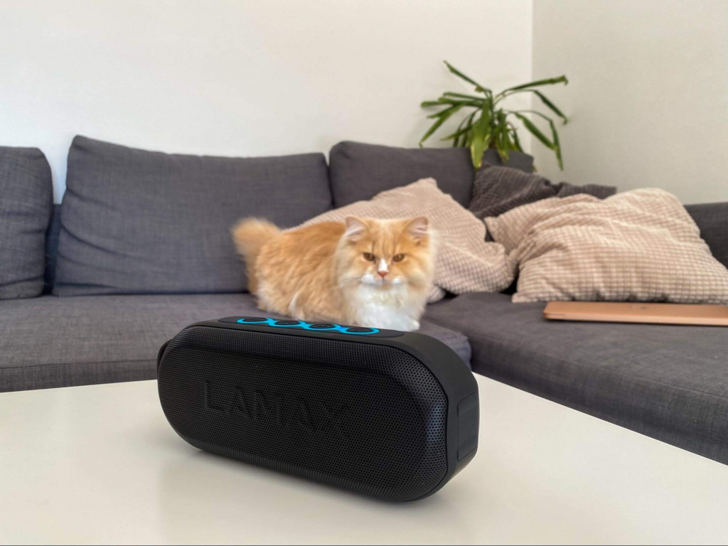 Idealnie pasuje do wnętrza