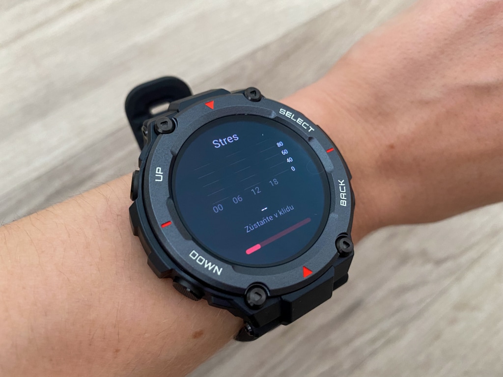 Pomiar obciążenia stresem