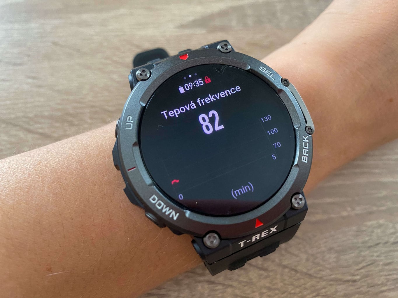 Wyświetla tętno użytkownika