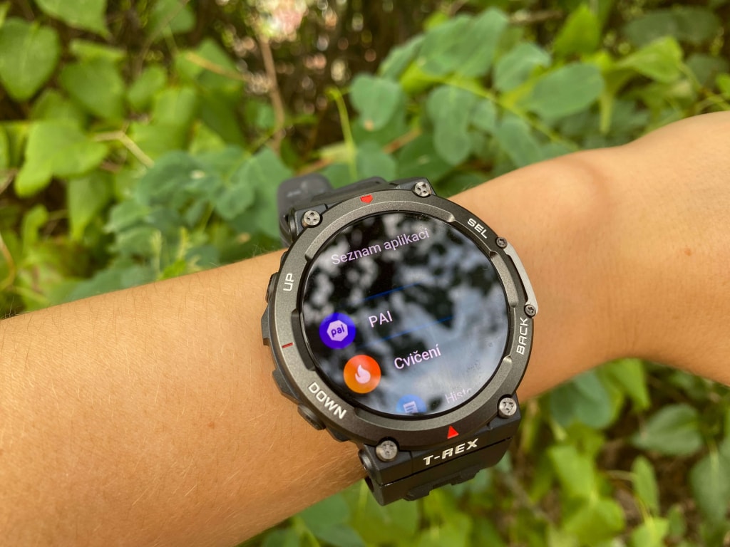 Interfejs zegarka jest przejrzysty