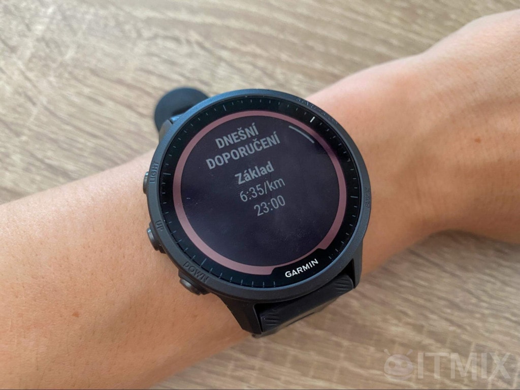 Zalecenia treningowe