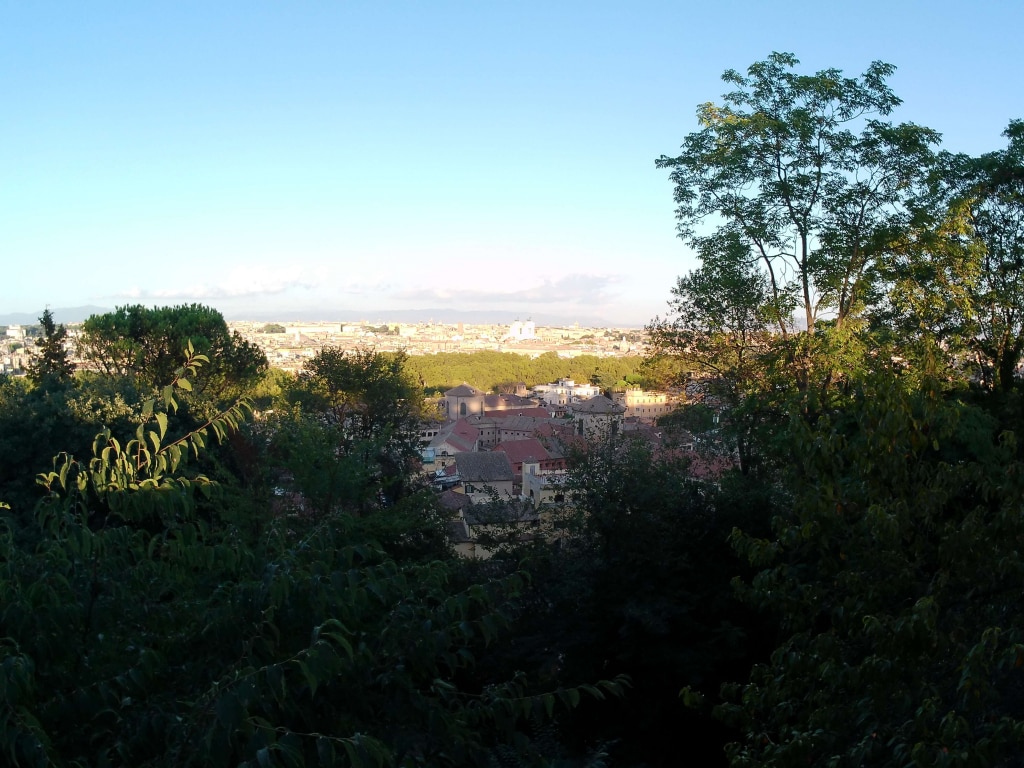 Obrazy dzienne z Lamax X7.2 są żywe i szczegółowe