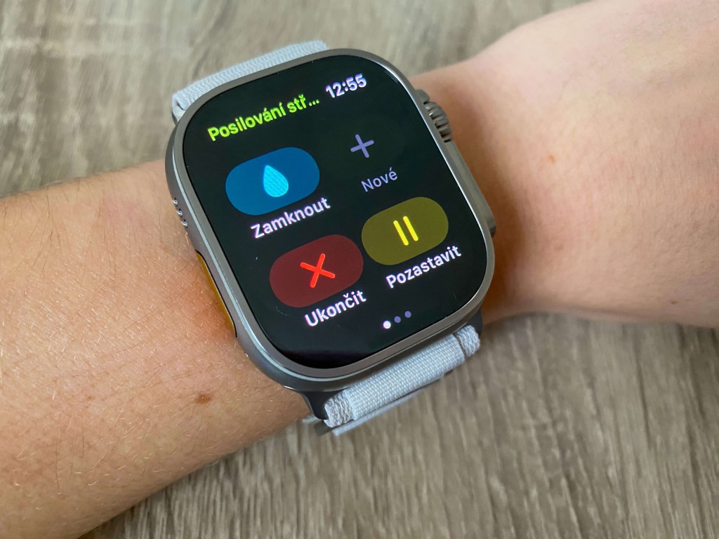 Możliwość wstrzymania aktywności