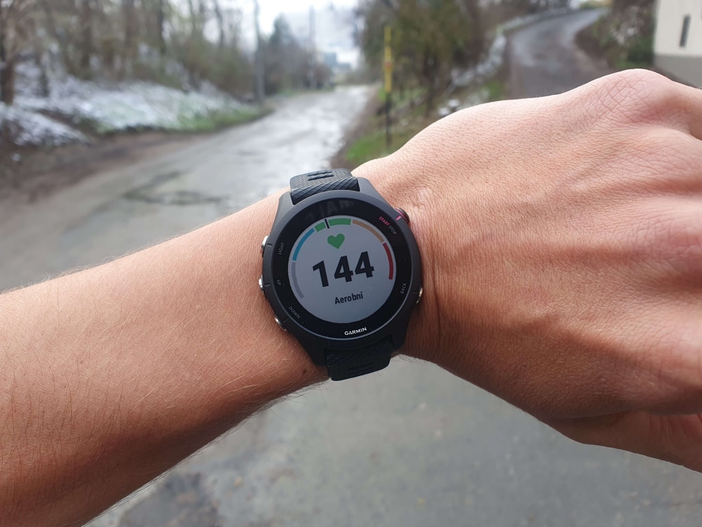 Czujnik tętna jest podzielony na pięć sekcji