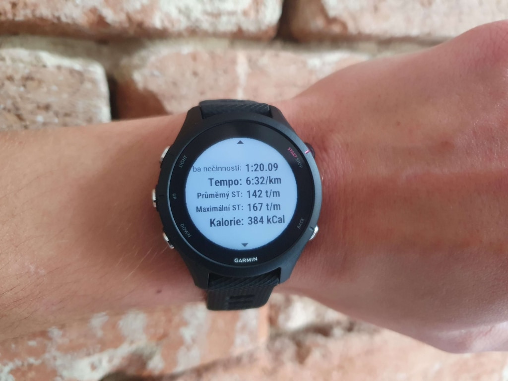 Dane i przetwarzanie mają charakter czysto informacyjny