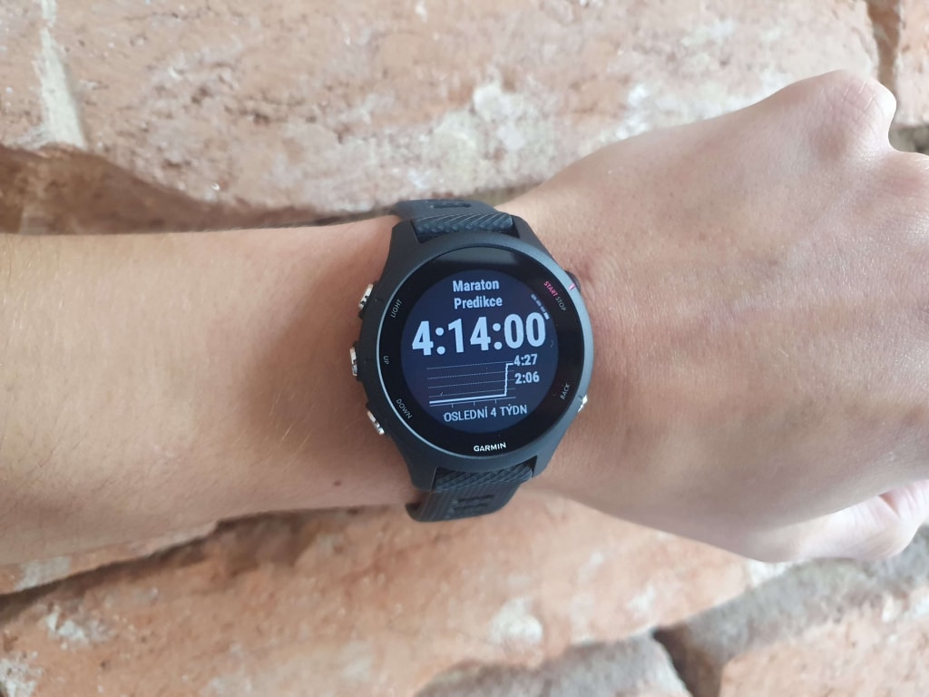 Wśród prognoz znajdują się różne długości tras, w tym maraton