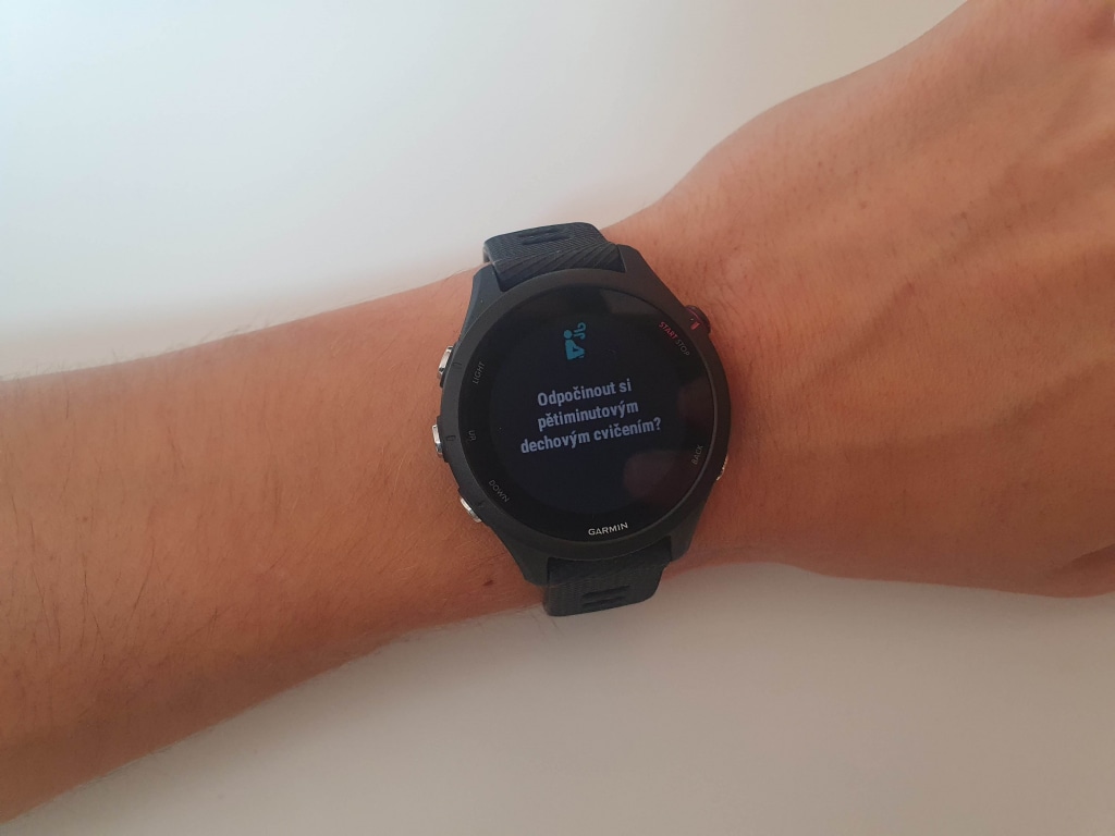 Istnieje również sugestia dotycząca krótkiej przerwy