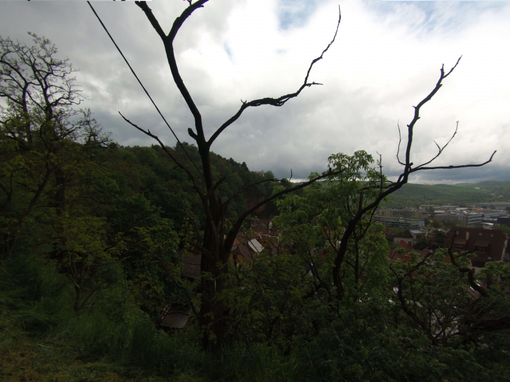 Obiektyw jest bardzo wymagający pod względem ilości światła otoczenia