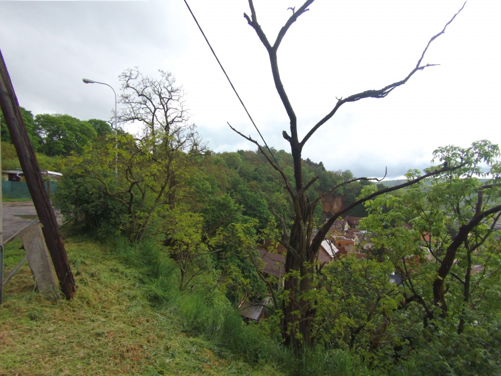 Ujęcia scenerii bez oddzielnego obiektu są przeciętne