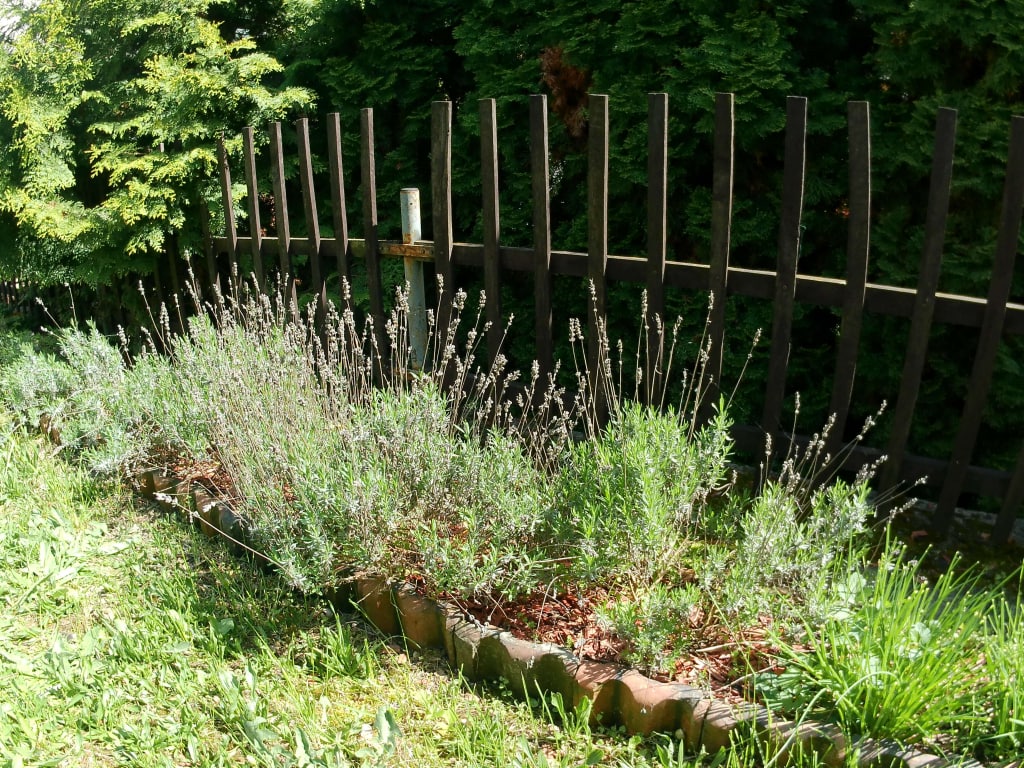 Dobrze oświetlone obiekty z ciemnym tłem w cieniu