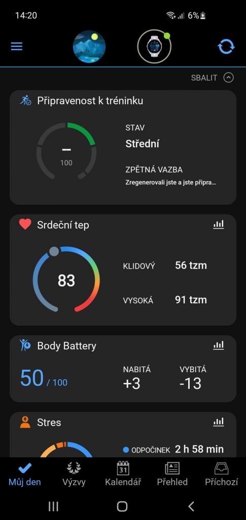 W aplikacji Garmin Connect można znaleźć ustawienia zegarka i różne statystyki