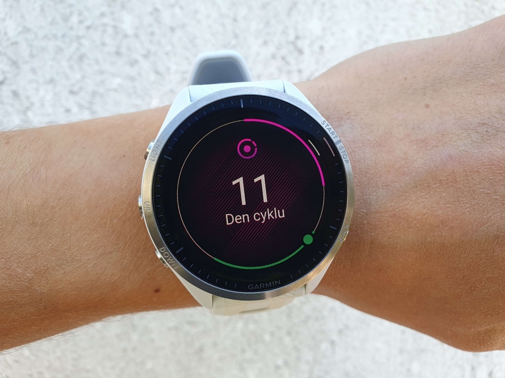 Zegarek oferuje krótki przegląd cyklu bezpośrednio na nadgarstku