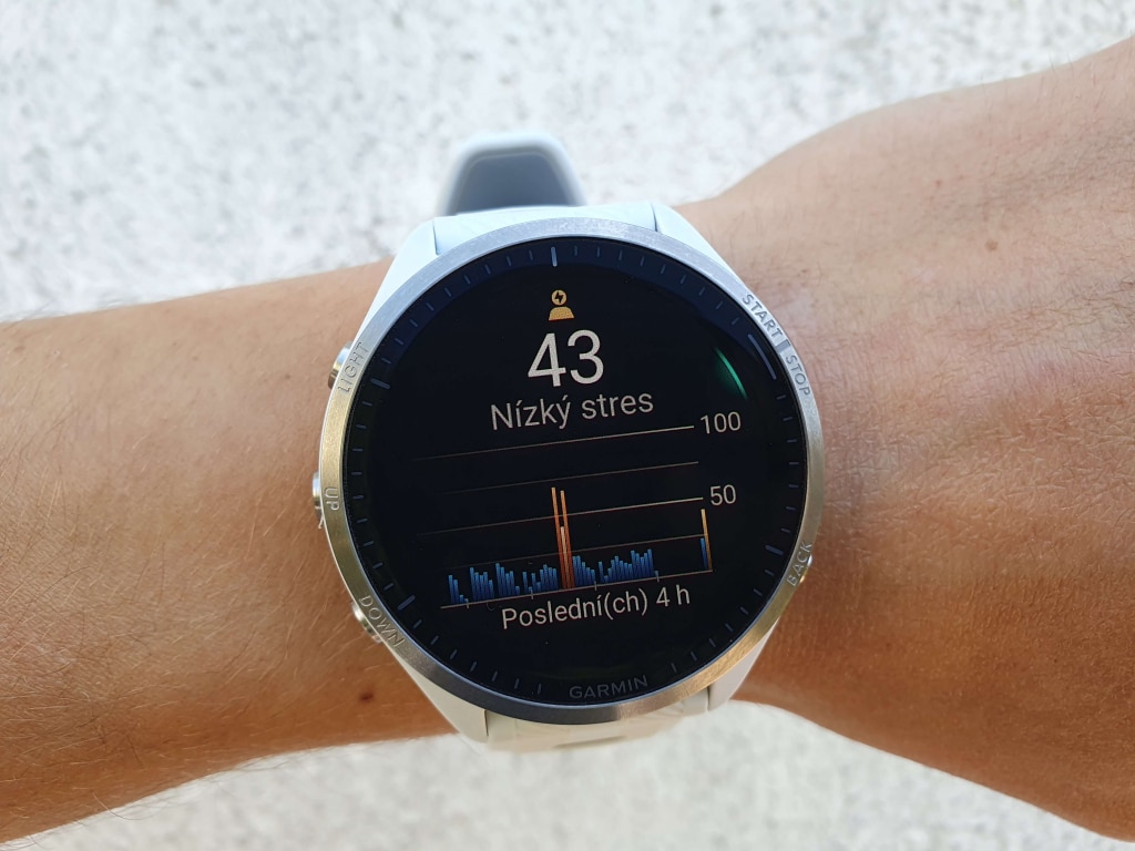 Stres w tym przypadku jest postrzegany jako ogólne obciążenie organizmu