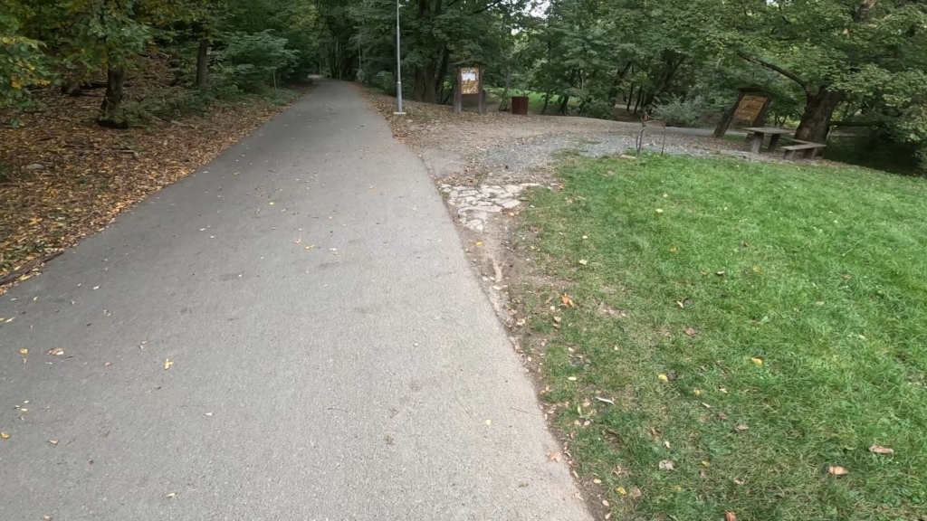 Ciemniejsze obszary w cieniu mogą zostać szczegółowo uchwycone przez kamerę