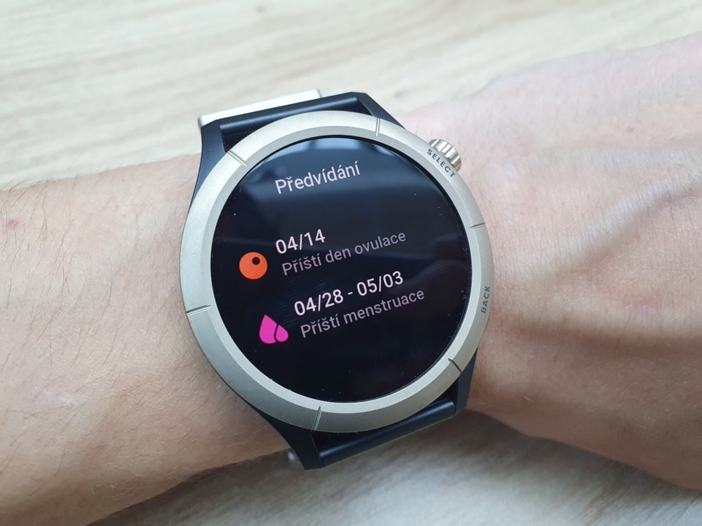 Zawiera również prognozę cyklu