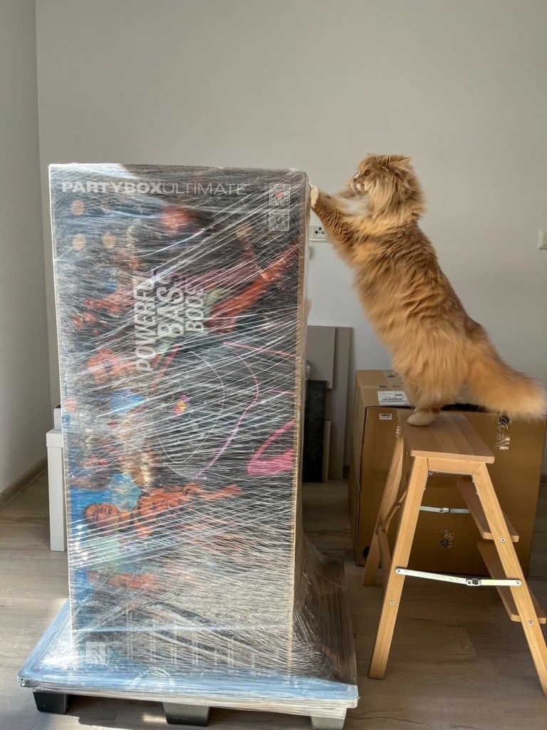 Opakowanie głośnika jest dość duże