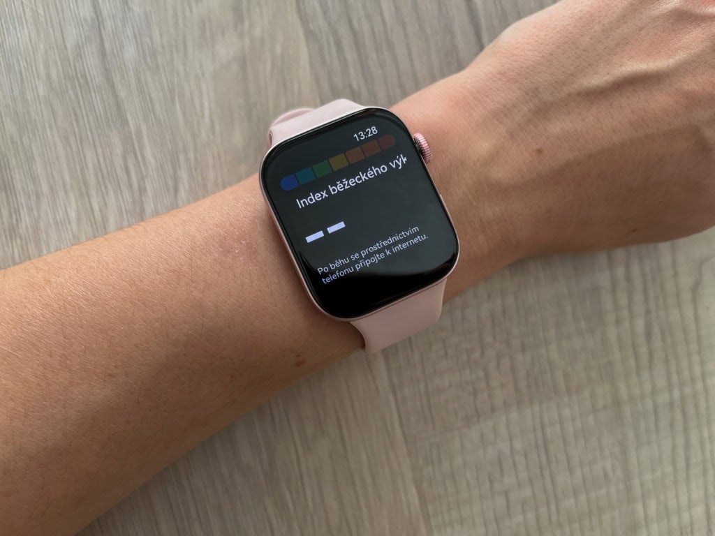 Wskaźnik wydajności biegu