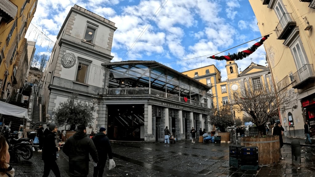 Szerokie pole widzenia