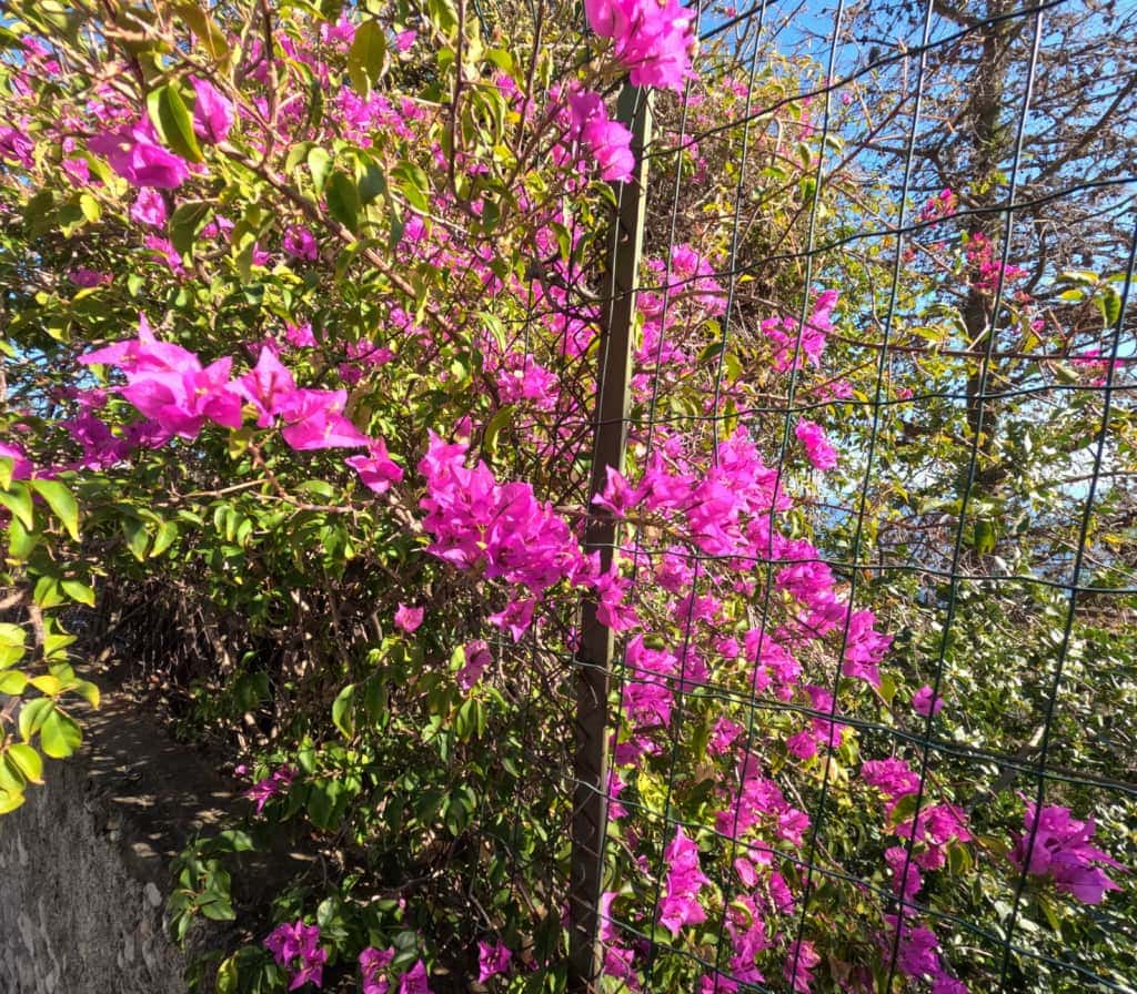 Nasycenie kolorów jest w większości dobre