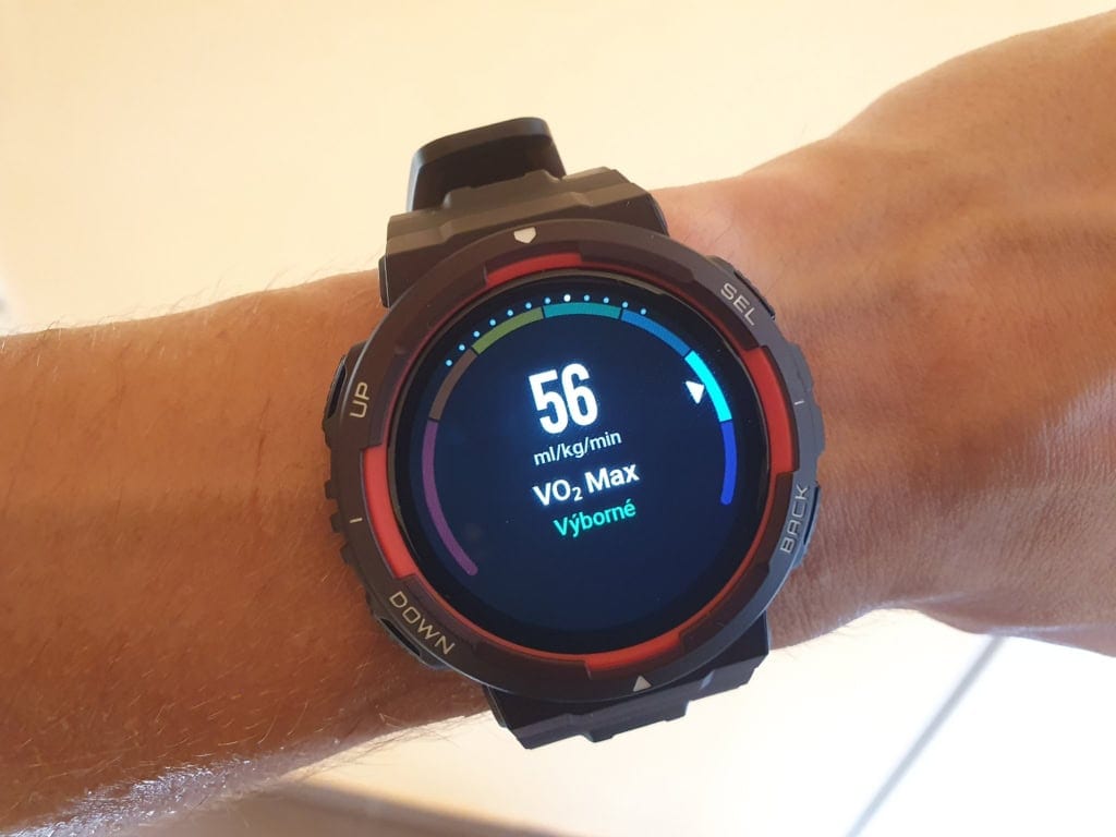 Doceniam ewolucję VO2 Max w czasie