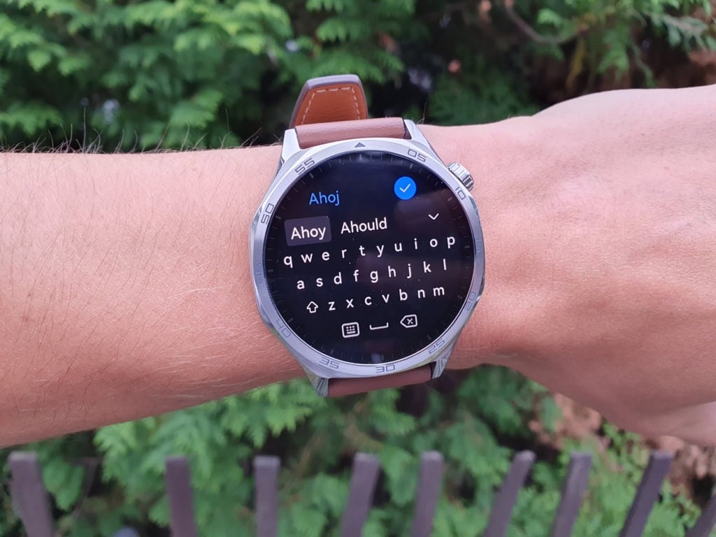 Clavis są zazwyczaj małe