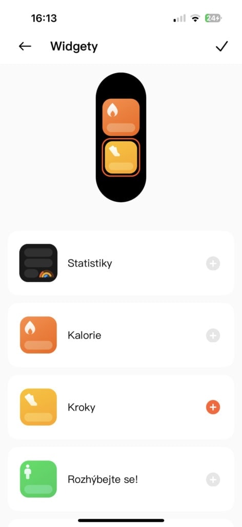 Oraz szczegóły interfejsu bransoletki