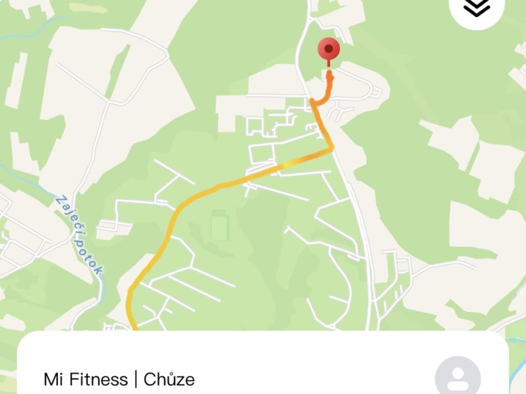 Nie ma bransoletki GPS, ale będzie rejestrować trasę za pomocą telefonu komórkowego.