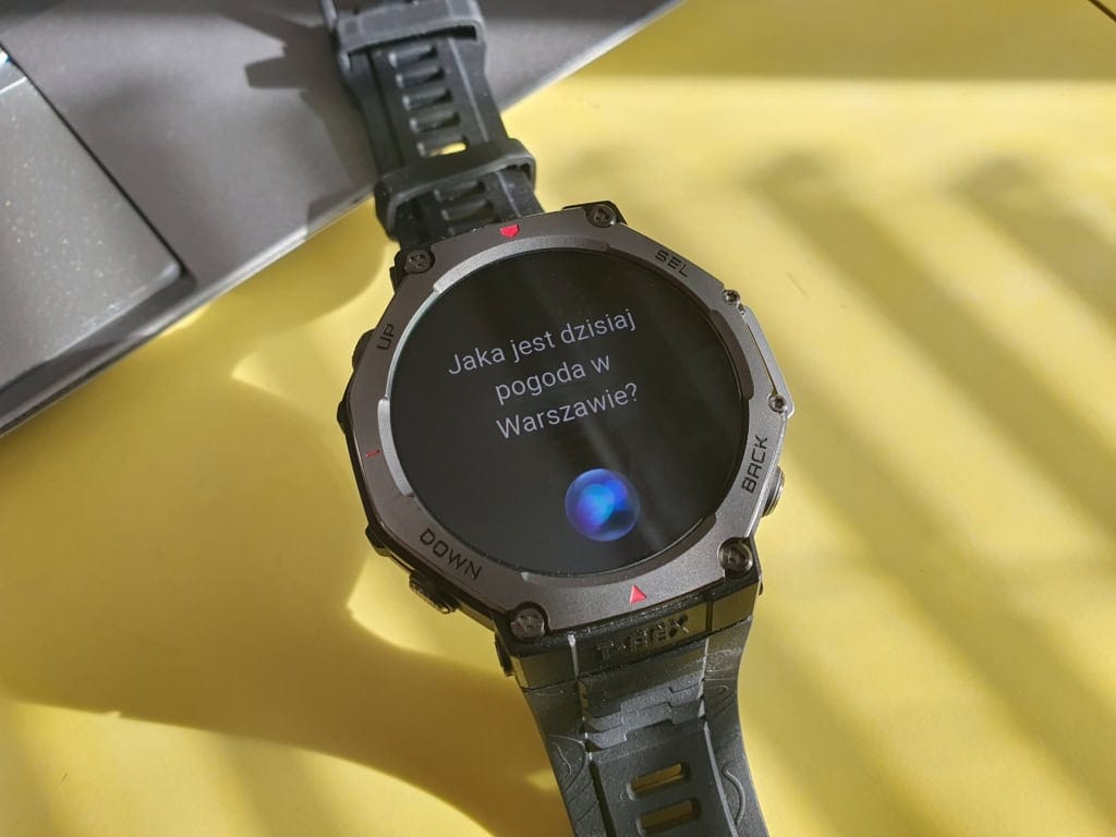 Pytanie w języku polskim