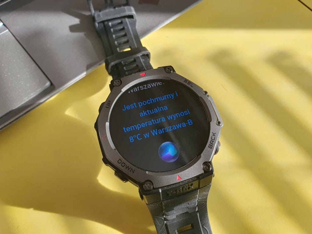 Odpowiedź w języku polskim