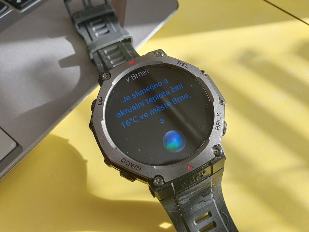 Odpowiedź w języku czeskim