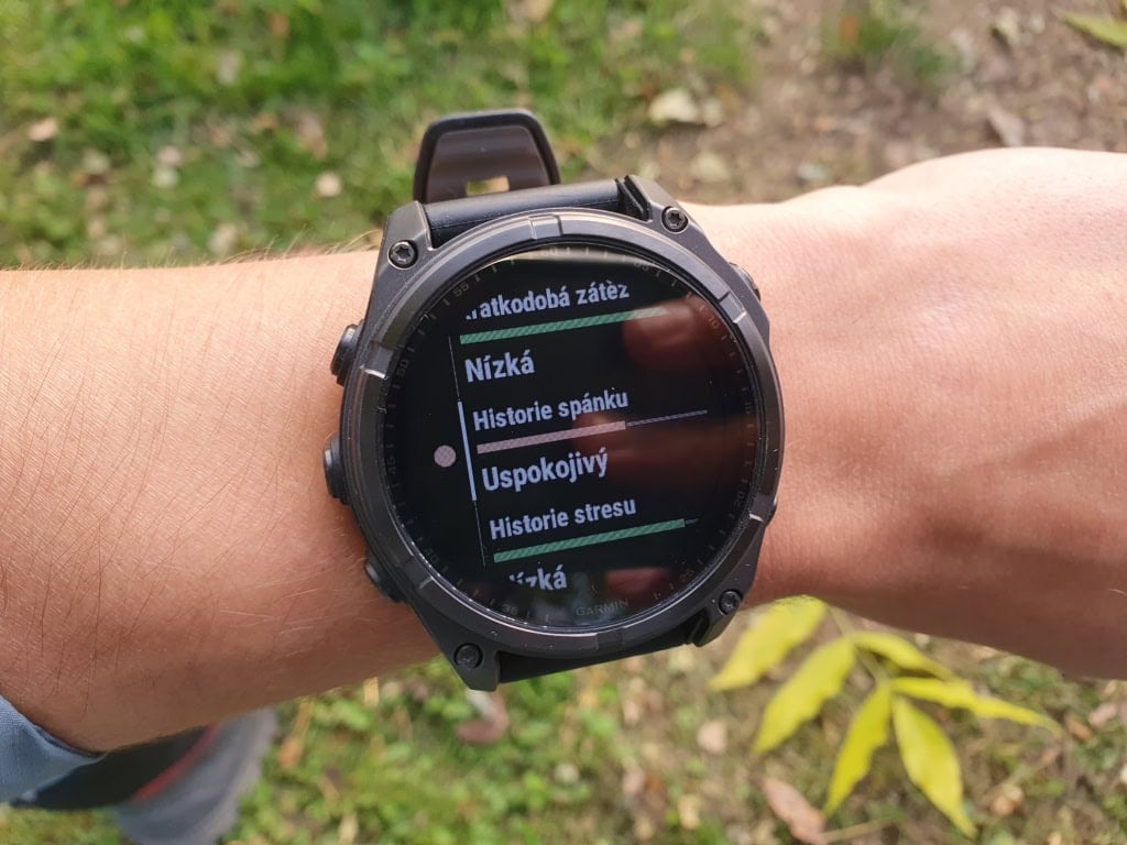 Istnieje przegląd czynników