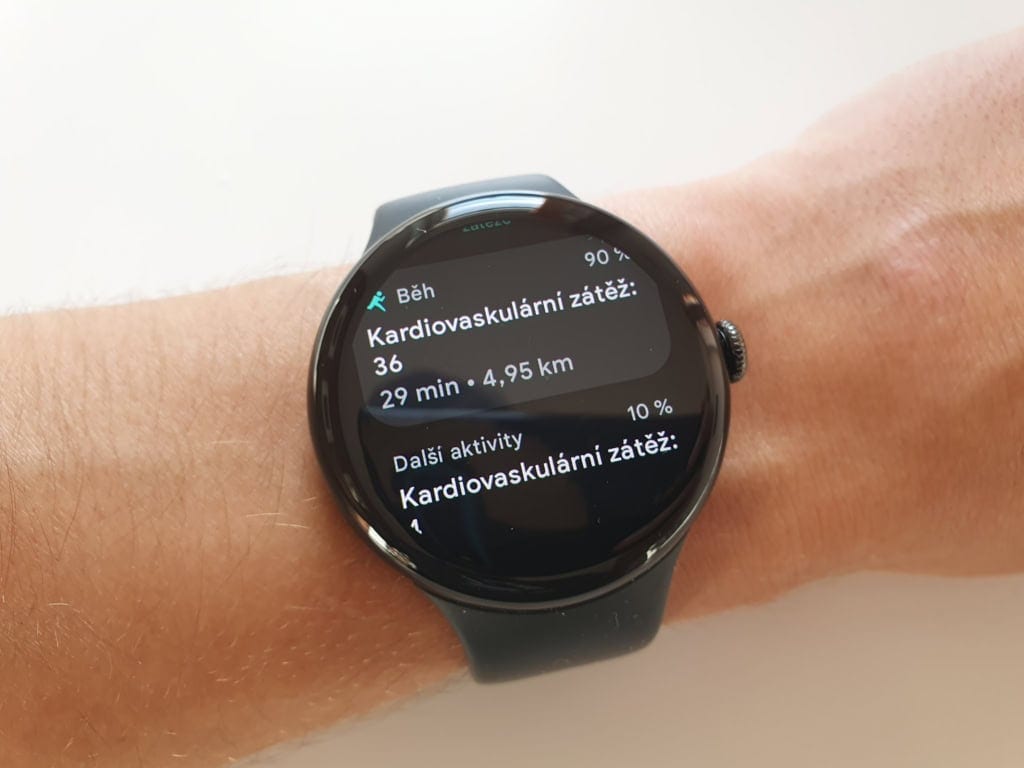 Dane dotyczące obciążenia układu sercowo-naczyniowego