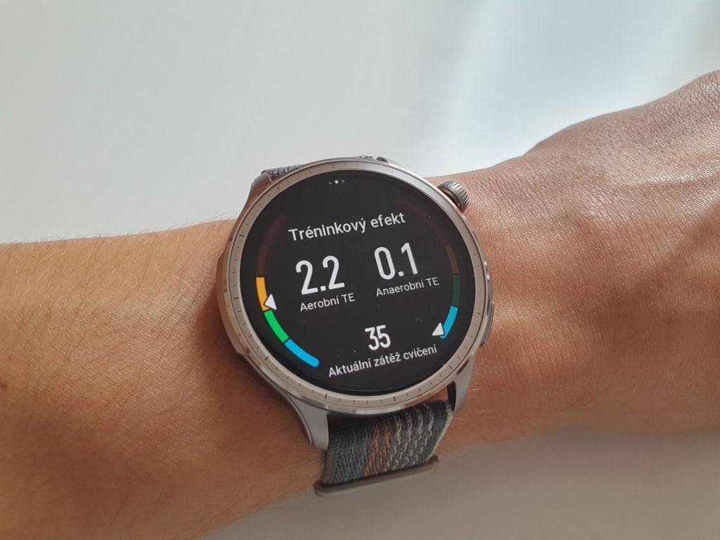 Komponenta tlenowa i beztlenowa treningu