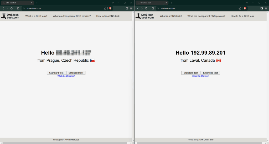 Test wycieku informacji DNS