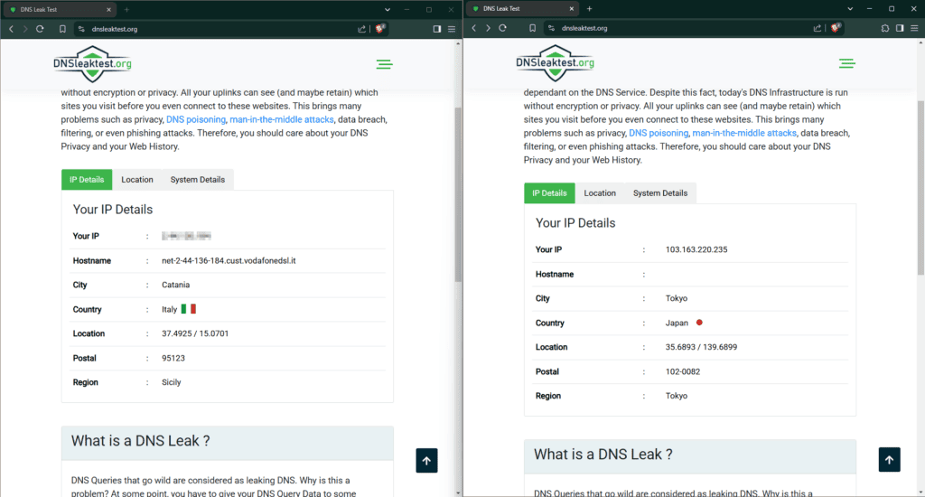 Test na wyciek informacji DNS
