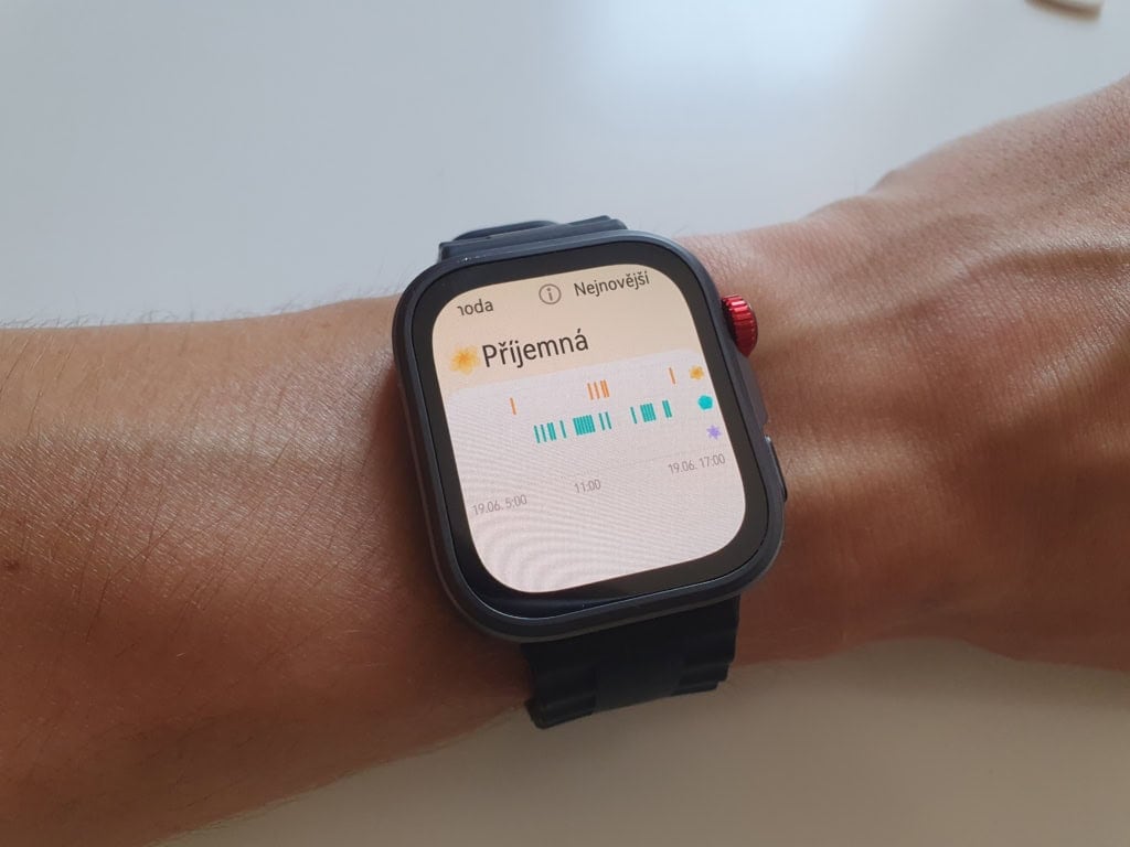 Całodzienny przegląd