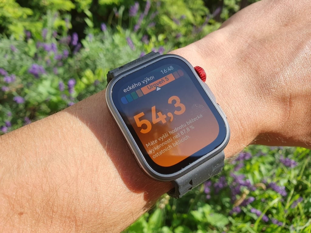 Indeks wydolności biegowej